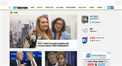 Desktop Screenshot of amny.com